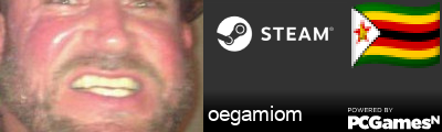 oegamiom Steam Signature