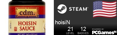 hoisiN Steam Signature