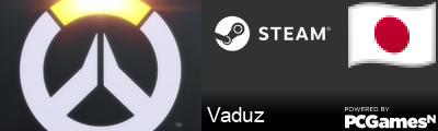 Vaduz Steam Signature