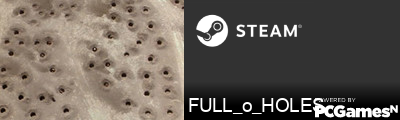 FULL_o_HOLES Steam Signature