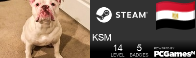 KSM Steam Signature
