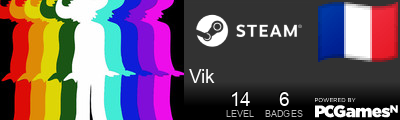 Vik Steam Signature