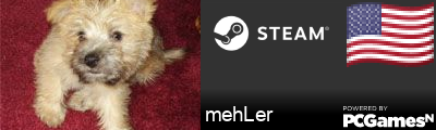 mehLer Steam Signature