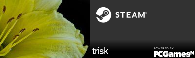 trisk Steam Signature