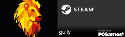 gully Steam Signature