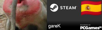 gareK Steam Signature