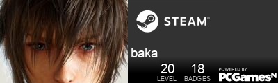 baka Steam Signature