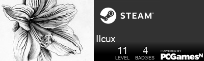 IIcux Steam Signature