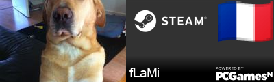 fLaMi Steam Signature