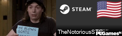 TheNotoriousSTG Steam Signature