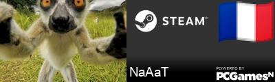 NaAaT Steam Signature