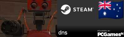 dns Steam Signature