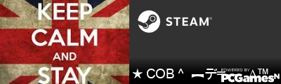 ★ COB ^  ︻デ═---   ∆™ Steam Signature