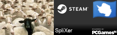 SpliXer Steam Signature