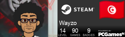 Wayzo Steam Signature