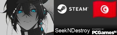 SeekNDestroy Steam Signature