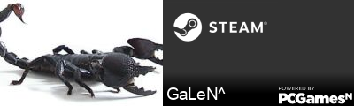 GaLeN^ Steam Signature