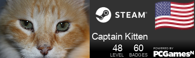 Captain Kitten Steam Signature
