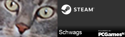 Schwags Steam Signature
