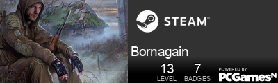 Bornagain Steam Signature