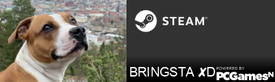 BRINGSTA ✘D Steam Signature