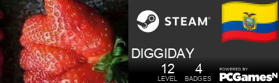 DIGGIDAY Steam Signature