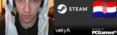 vekyA Steam Signature