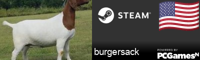 burgersack Steam Signature