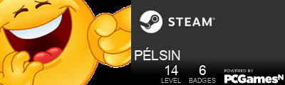 PÉLSIN Steam Signature