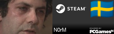 N0rM Steam Signature