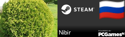 Nibir Steam Signature