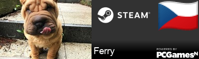 Ferry Steam Signature