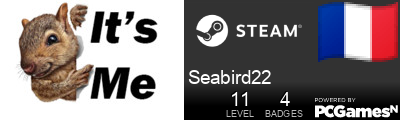 Seabird22 Steam Signature
