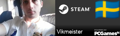 Vikmeister Steam Signature