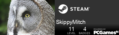 SkippyMitch Steam Signature