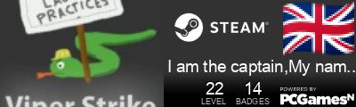 I am the captain,My name is Dave Steam Signature