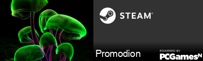 Promodion Steam Signature