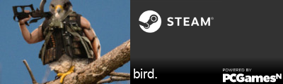bird. Steam Signature