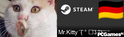 Mr.Kitty  ( ͡° ͜ʖ ͡°) Steam Signature
