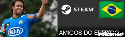 AMIGOS DO ELMAGOBANVAC Steam Signature