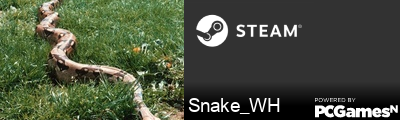 Snake_WH Steam Signature