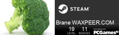Brane WAXPEER.COM Steam Signature