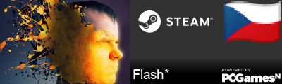 Flash* Steam Signature