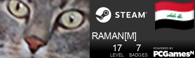 RAMAN[M] Steam Signature