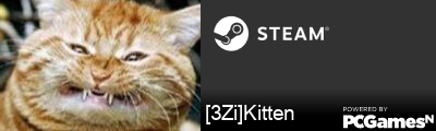 [3Zi]Kitten Steam Signature