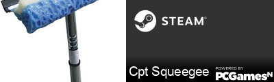 Cpt Squeegee Steam Signature