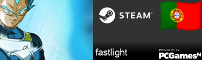 fastlight Steam Signature