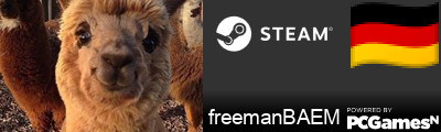 freemanBAEM Steam Signature