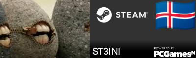 ST3INI Steam Signature