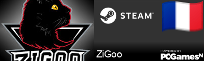 ZiGoo Steam Signature